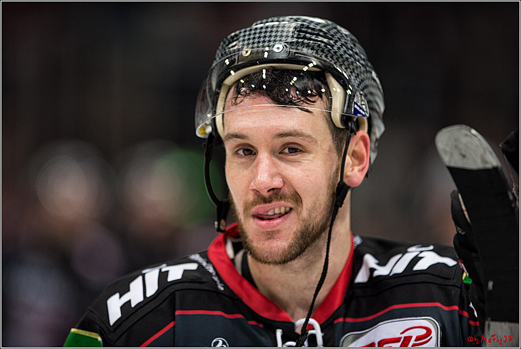 DEL, Koelner Haie - Nuernberg Ice Tiger, 24.01.2017